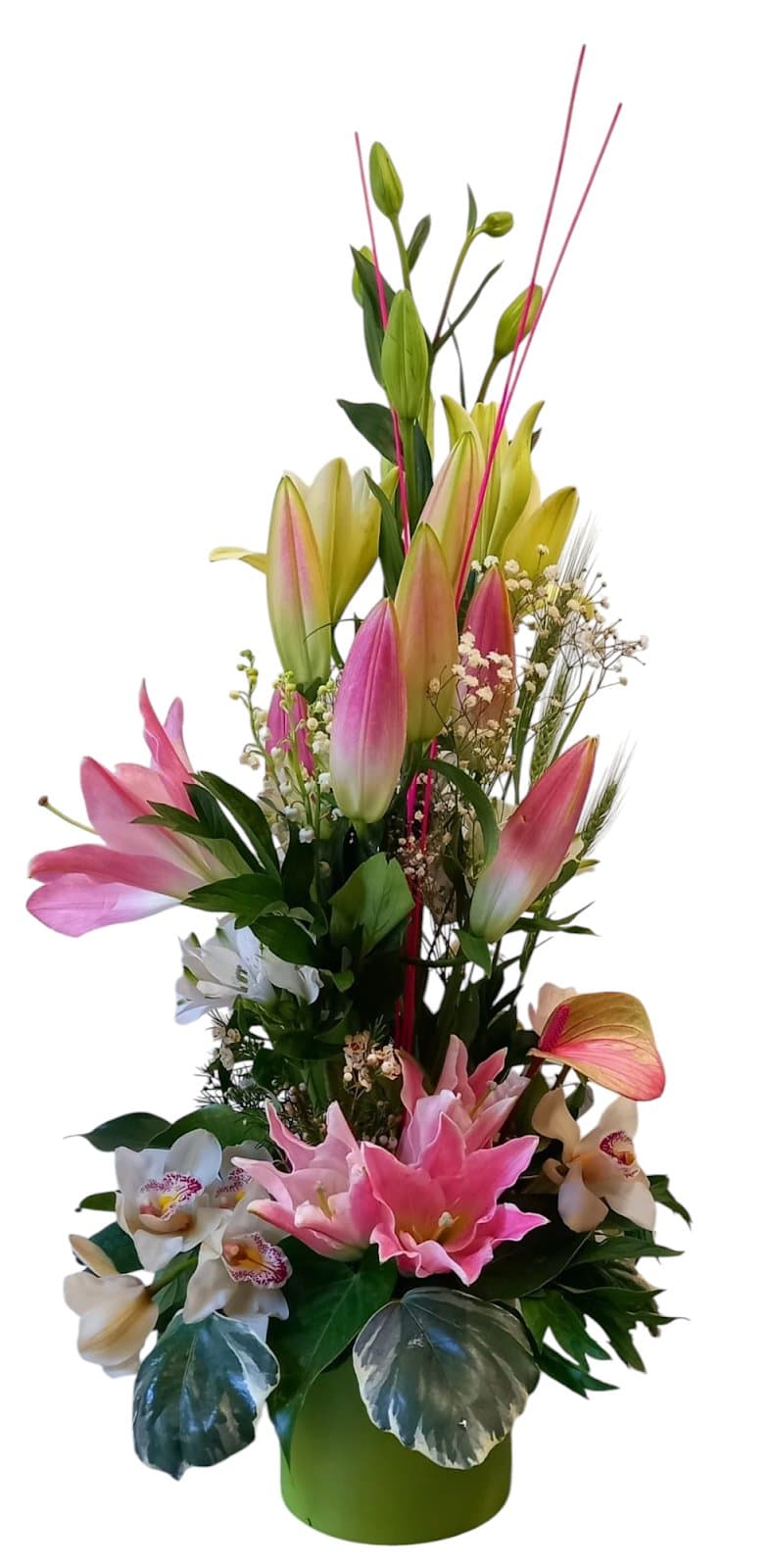 Photo 5 — Hélène fleurs et Vins Bédarieux