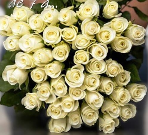 Photo 7 — Hélène fleurs et Vins Bédarieux