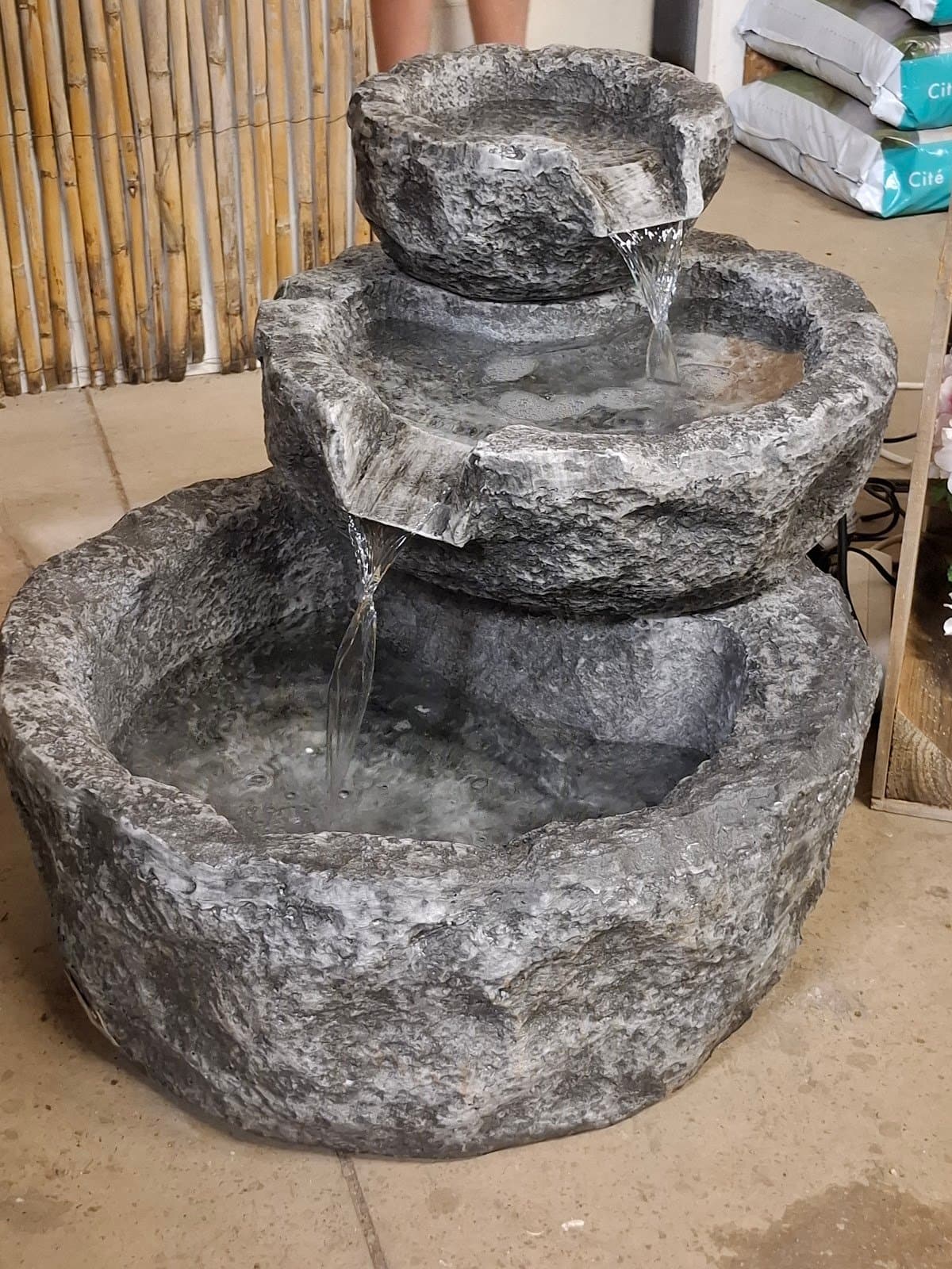 Photo 4 — La pepi de beda