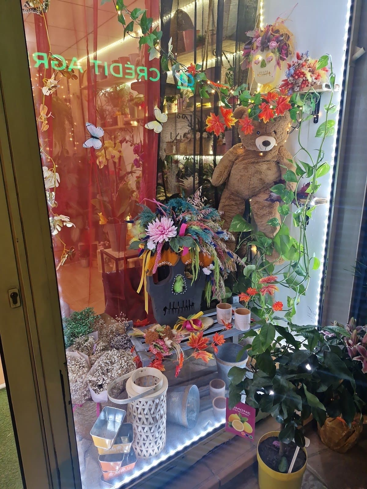 Photo 8 — Rebelfleurs